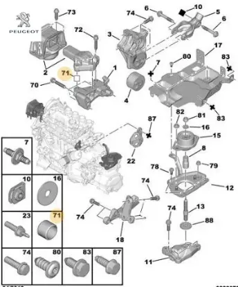 MOTOR KULAK BURCU resmi