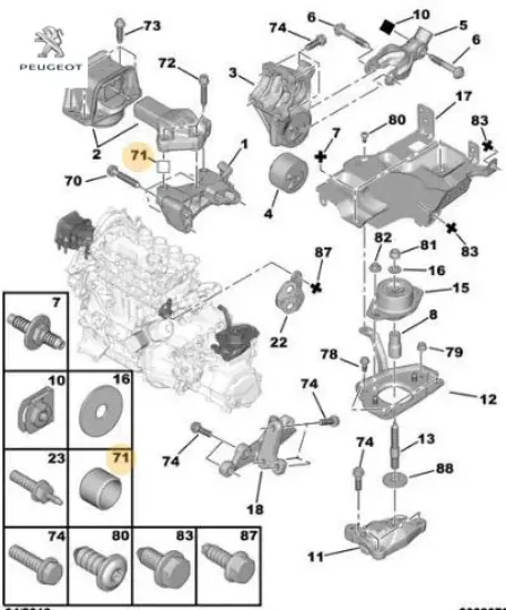 MOTOR KULAK BURCU resmi