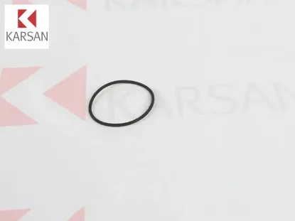 TERMOSTAT ORİNGİ/LASTİĞİ    J10 resmi