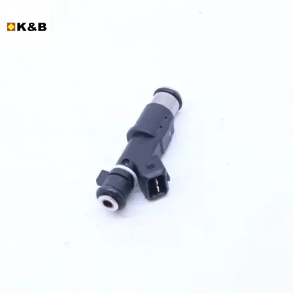 ENJEKTÖR   206-307-308-406-407-C4-C5 X7-XSARA  2.0 /EW10J4 resmi