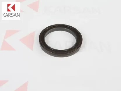 KRANK ARKA KEÇESİ  J10 resmi