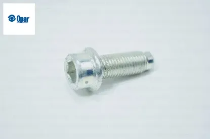 CİVATA DUCATO resmi